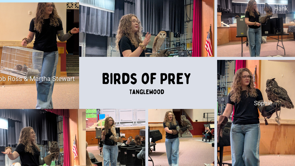 Birds of Prey