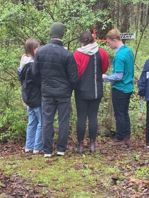 students working together in the woods