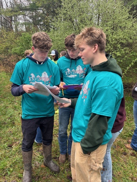 students working together outside