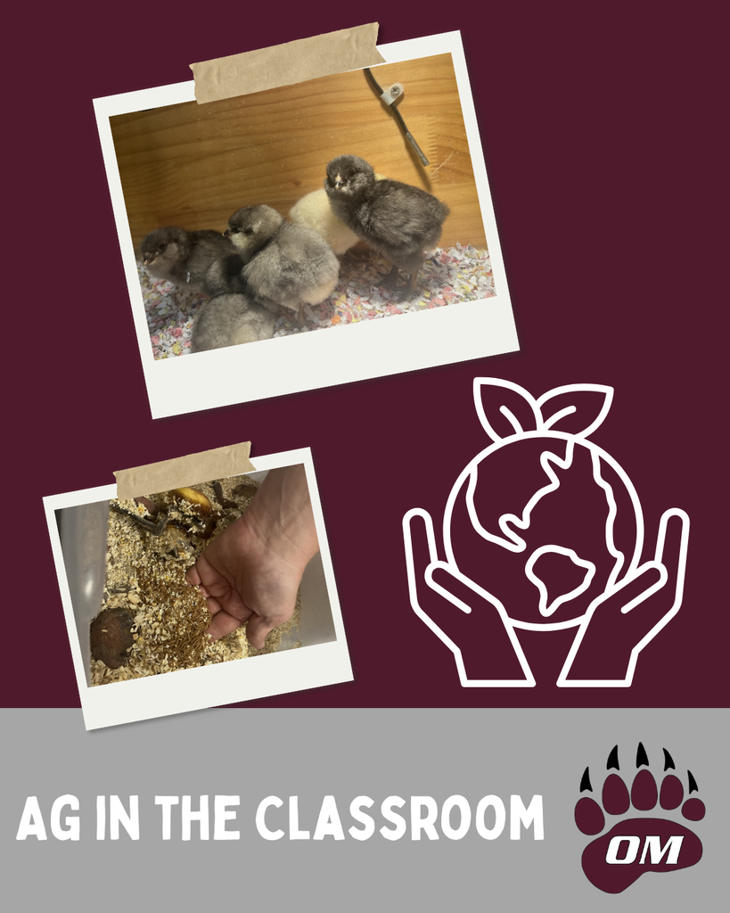 Ag Connections