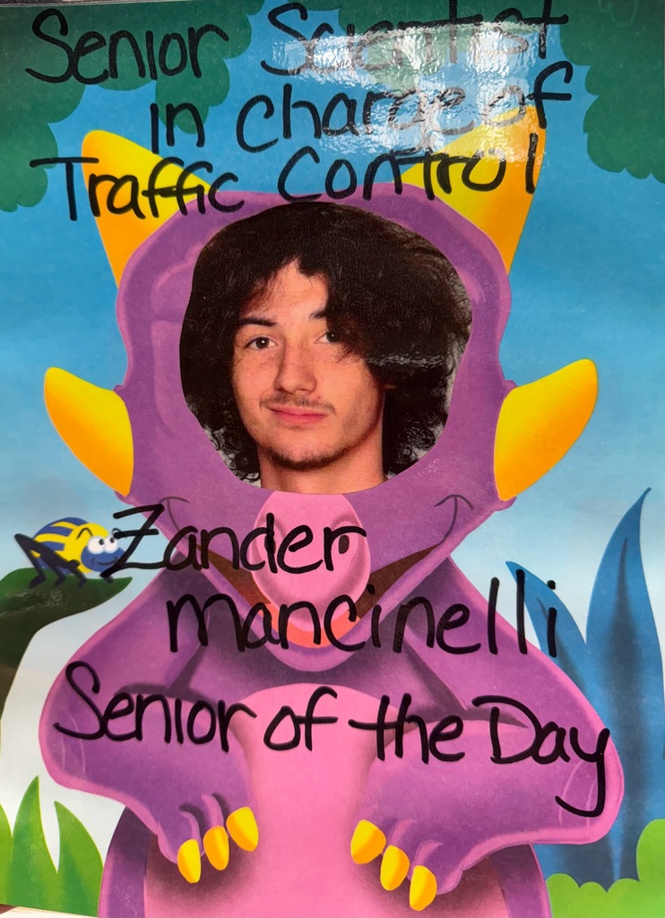 Zander