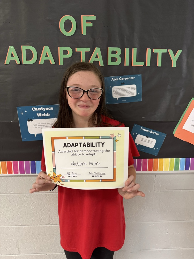 adaptibilityadaptability