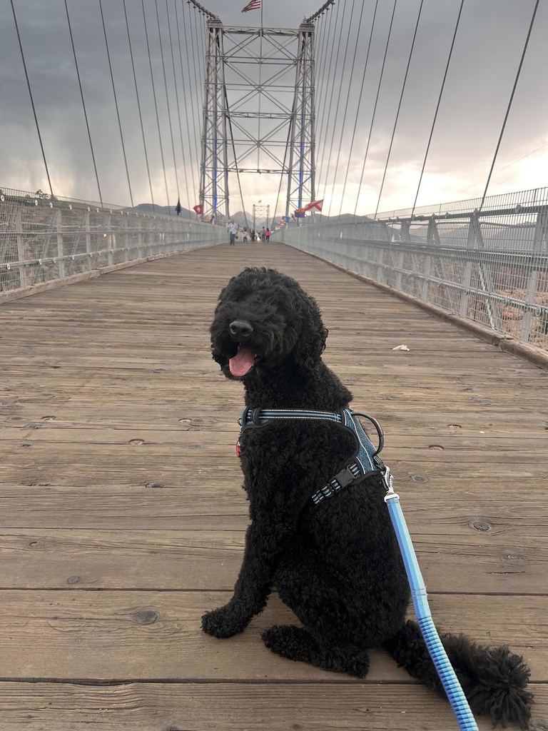 gibbs on walk