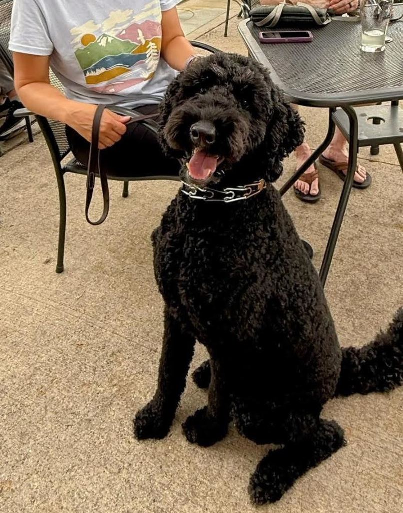 gibbs at cafe