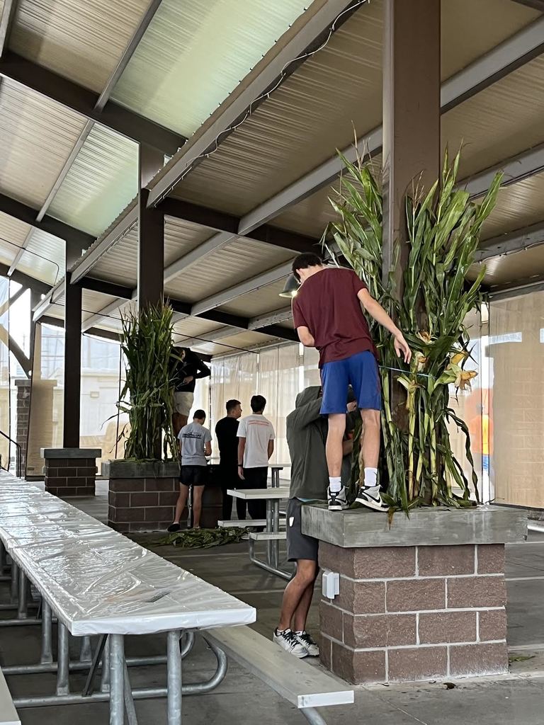 decorating rendezvous square