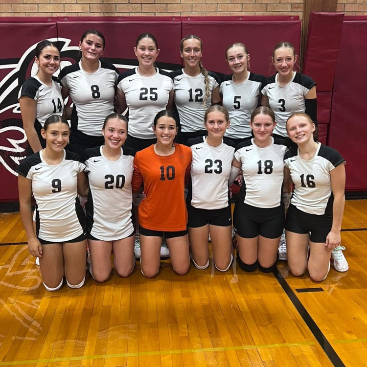 volleyball team 