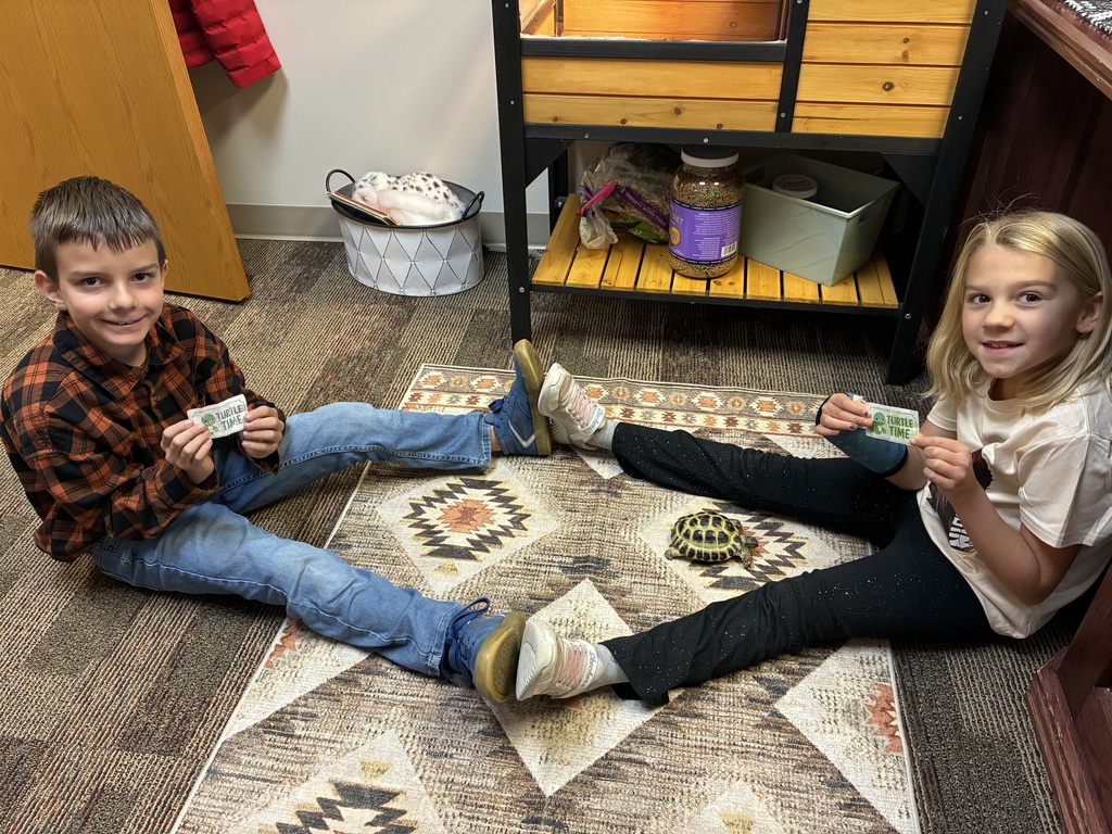 students with tortoise