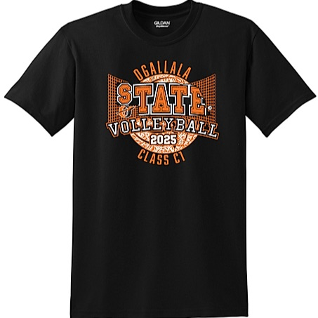 State Volleyball shirt