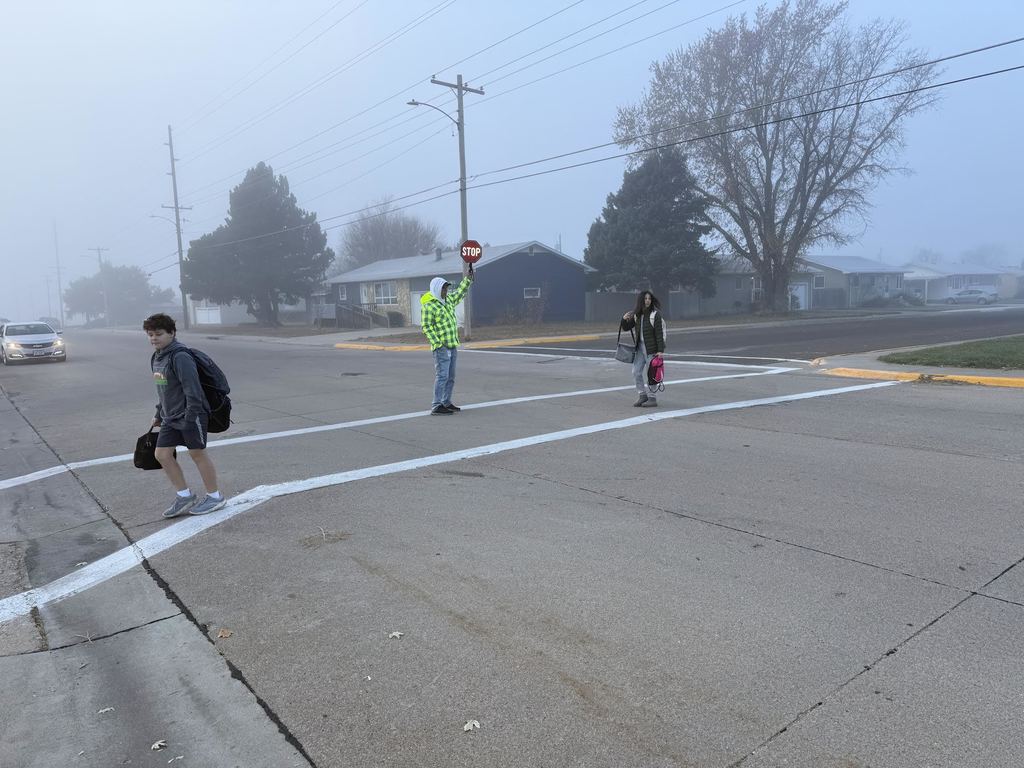 crossing guard with light up stop sign