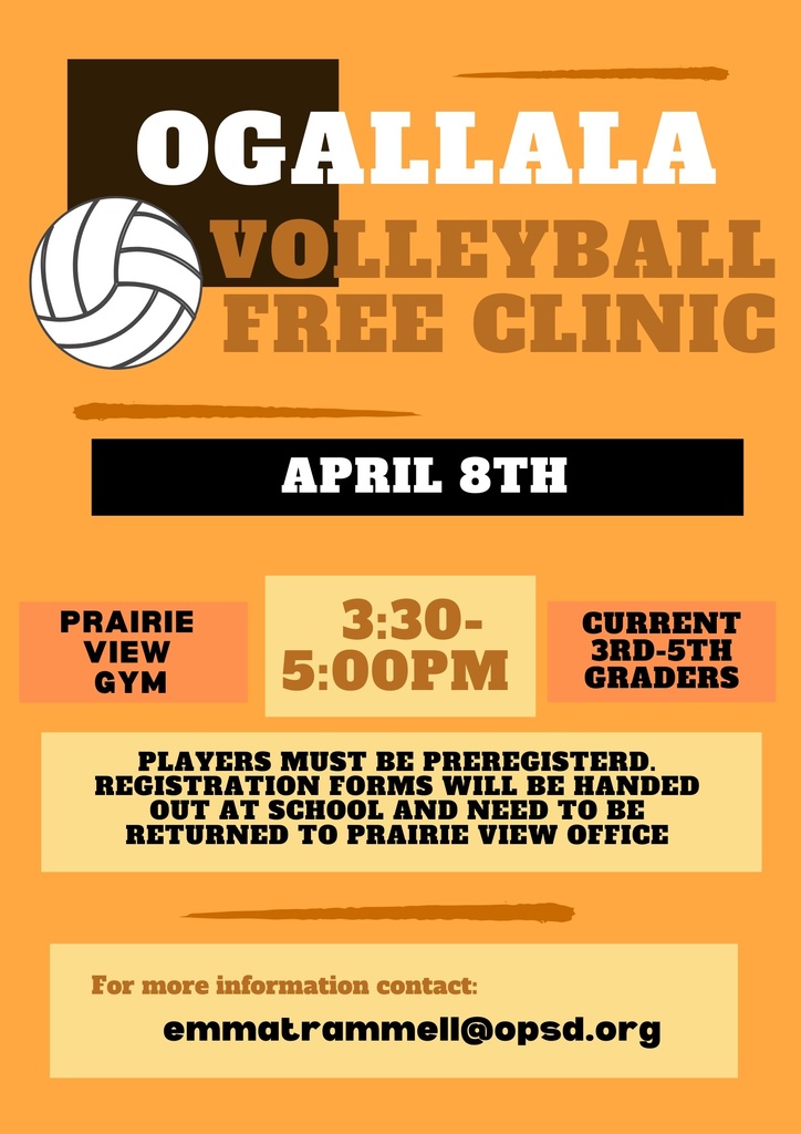 free volleyball clinic flier