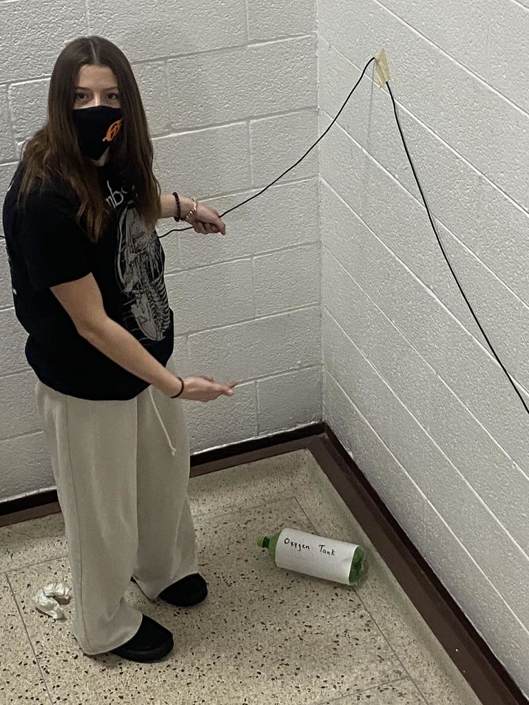 students going up mount everest as project