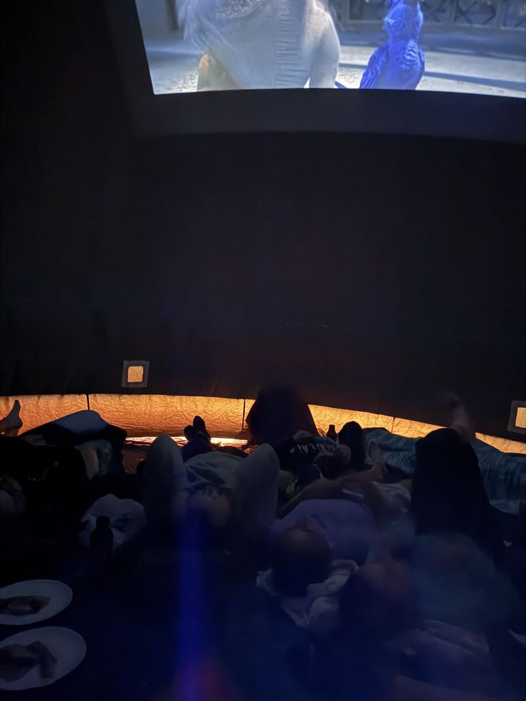 HAL Movie night inside the planetarium