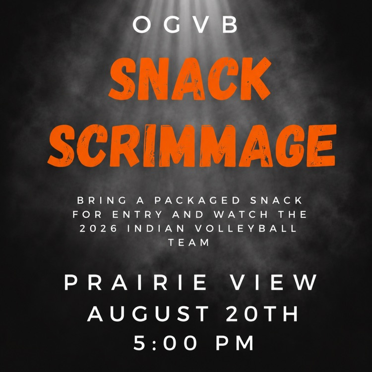 volleyball scrimmage