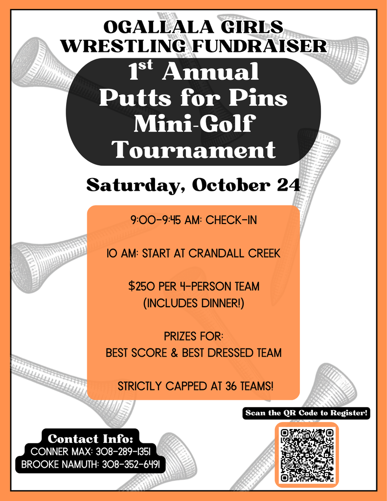 putts for pins mini golf tournament flyer with tees floating in the background