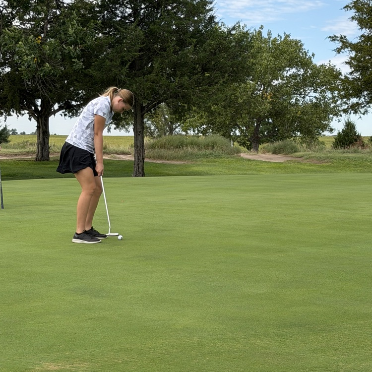 golfer putting towards pin