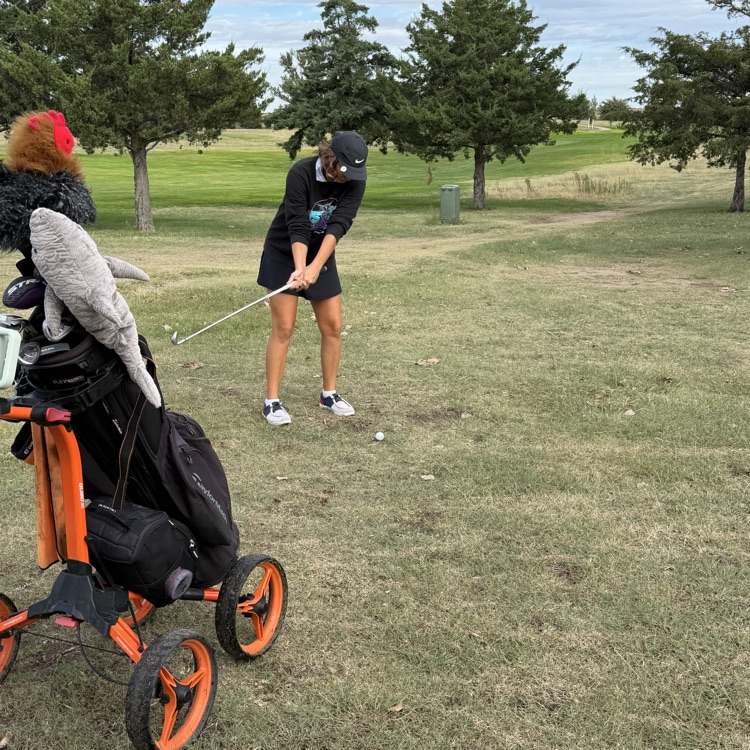 golfer with club and bag