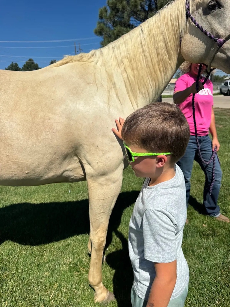 student petting horse