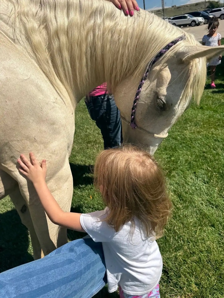 student petting horse
