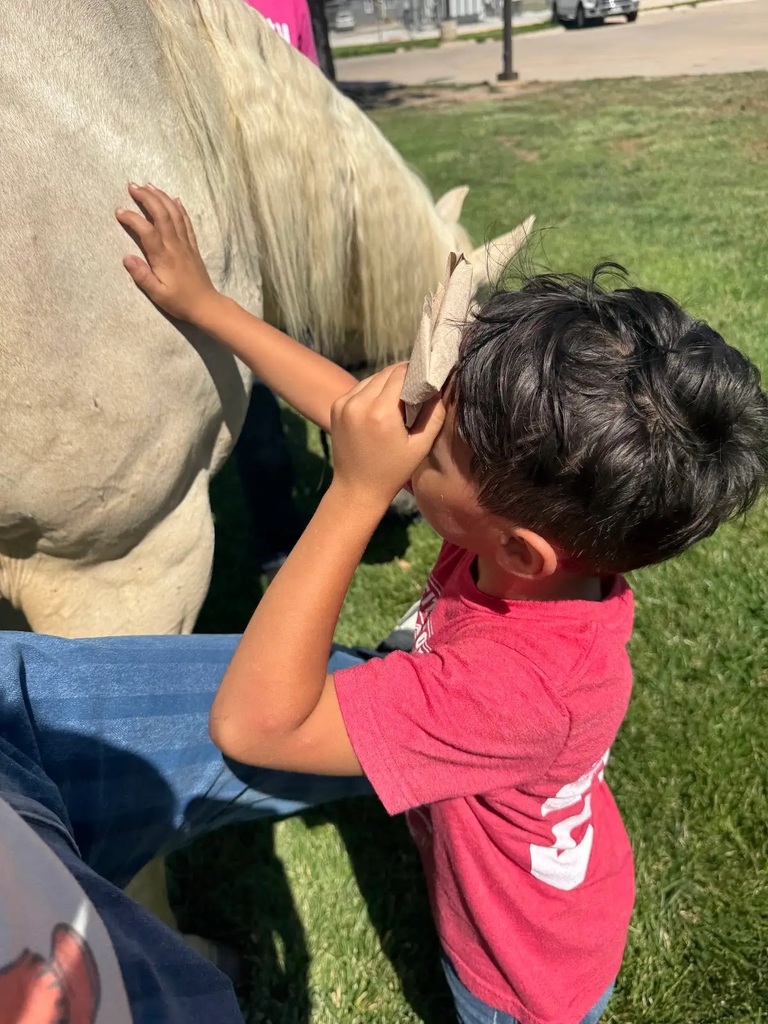 student petting horse