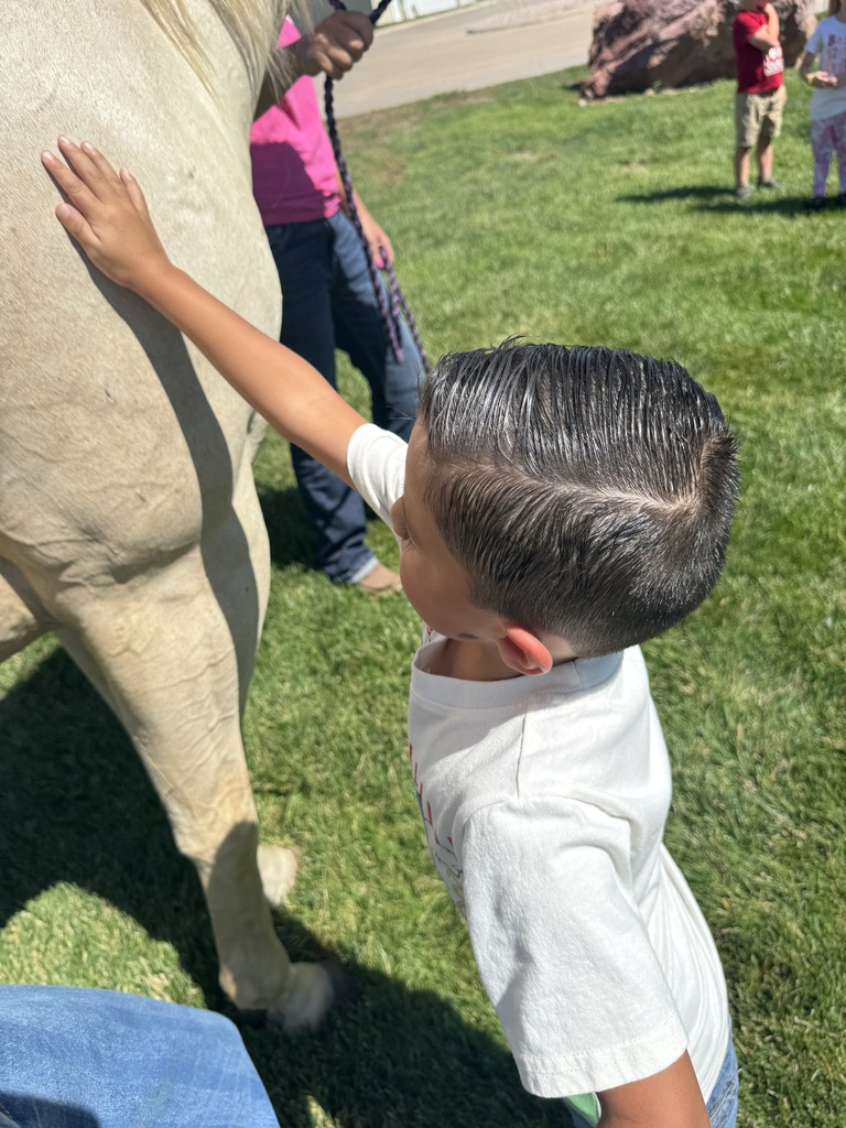 student petting horse