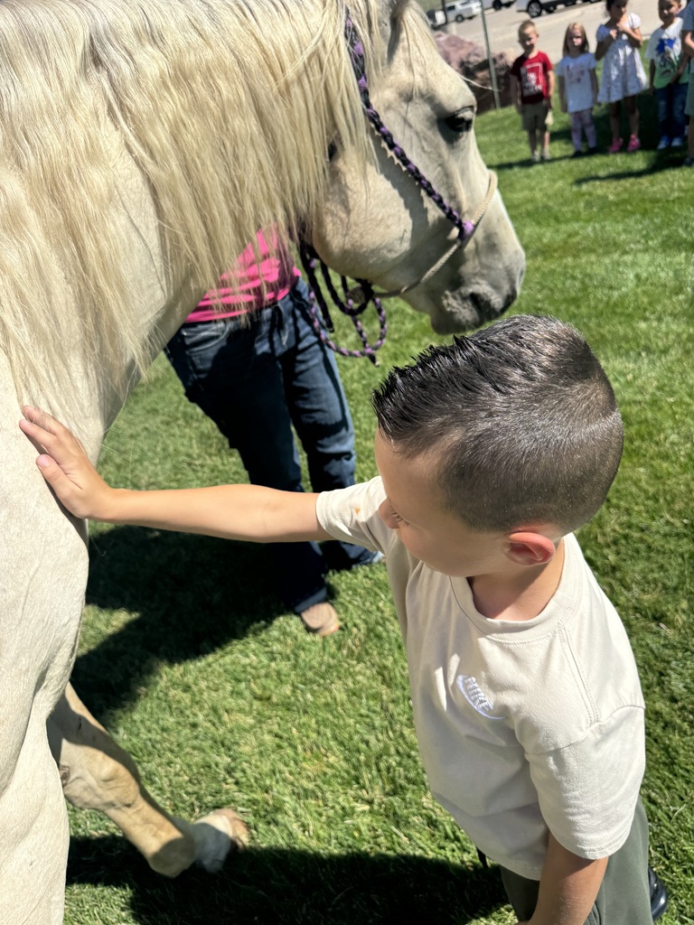 student petting horse