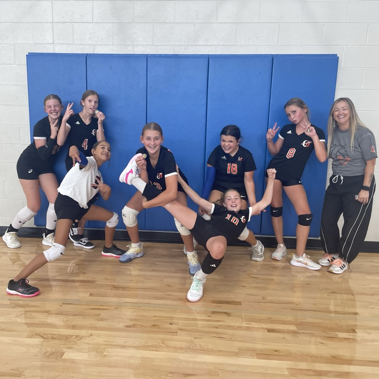 silly picture of volleyball players
