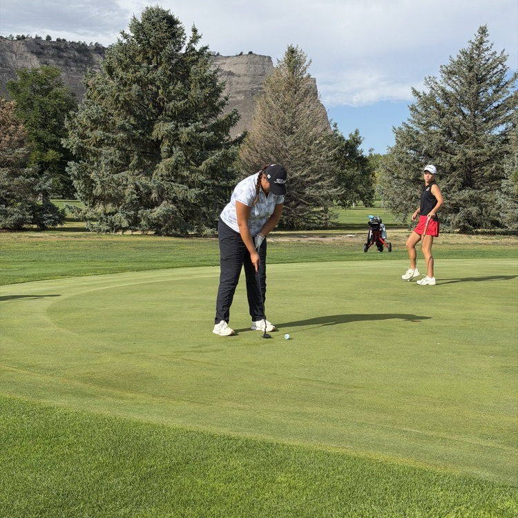 golfer putting ball towards pin