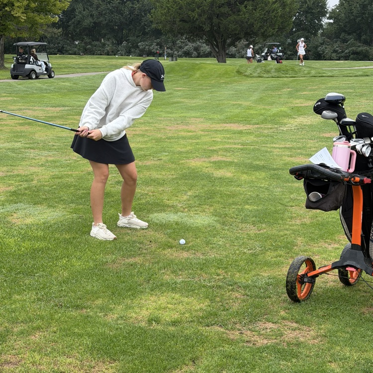 golfer 