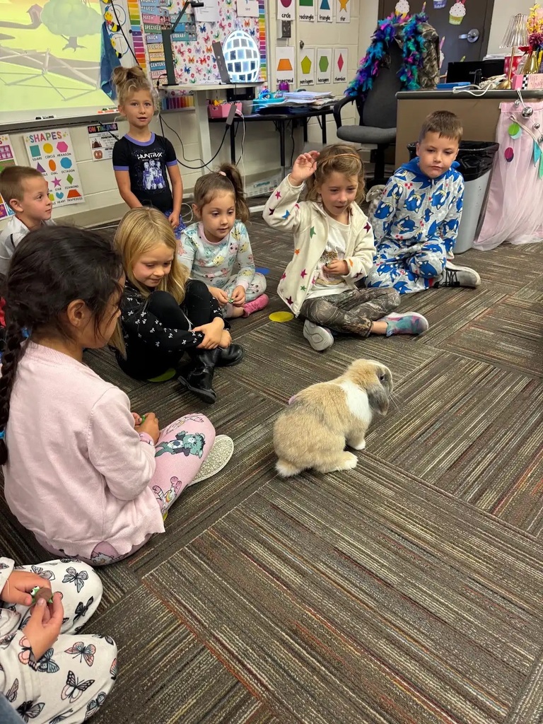 bunny sitting in front fo a group of students