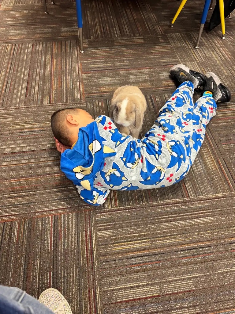 student laying on the ground by a bunny
