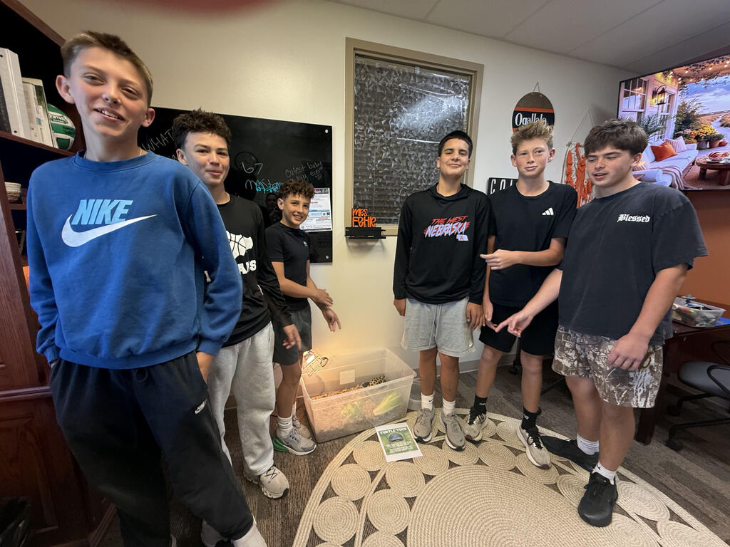 studrnts standing in office around a box with a turtle in it