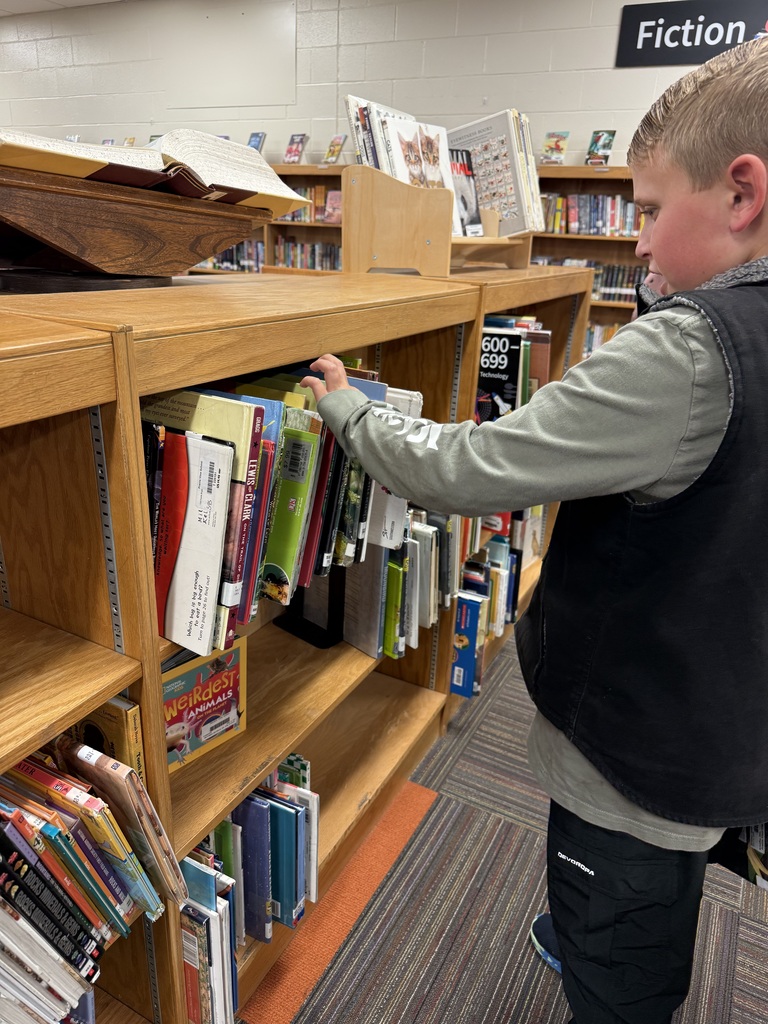 students browsing the bookshelves
