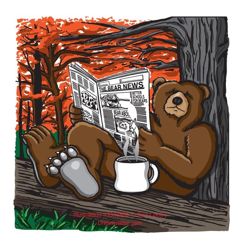 Bear News Logo
