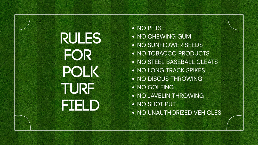 Grass like background with playfield lines. With white text explaining rules for field.