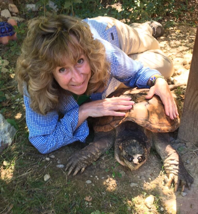 Sy Montgomery with giant snapping turtle