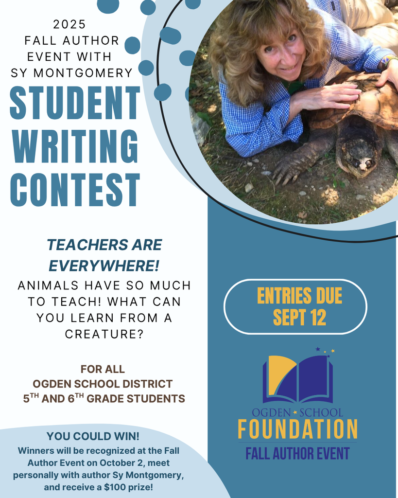Writing Contest flyer