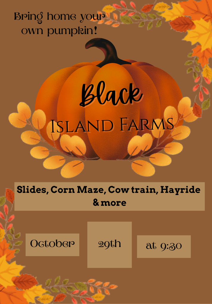 Extravaganza for fall, Black Island Farms