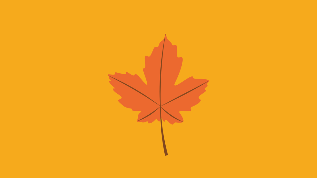 Orange maple leaf, on a yellow background