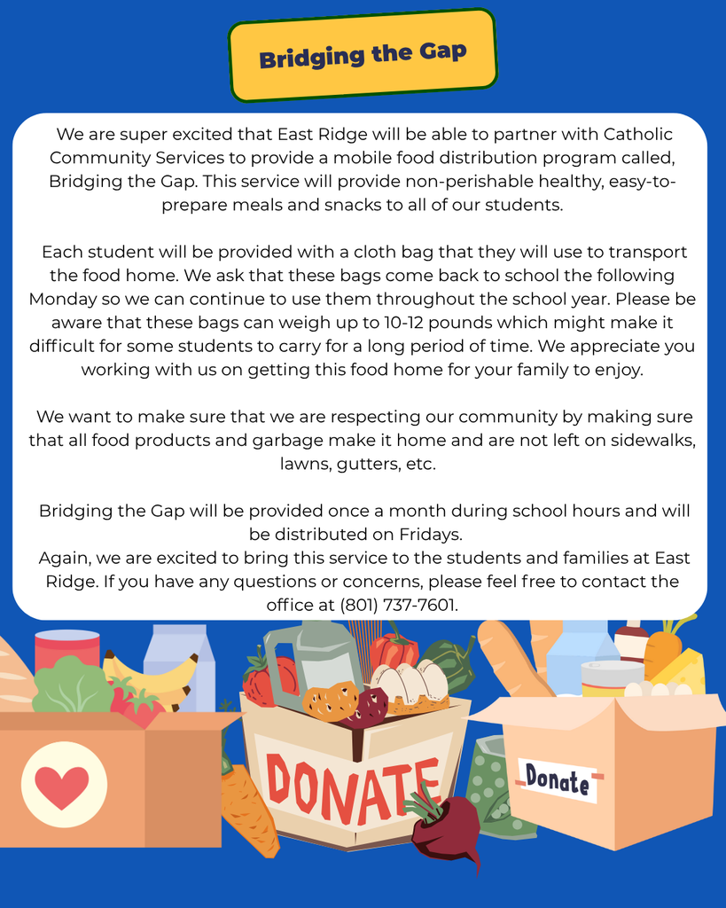 Bridging the Gap Info