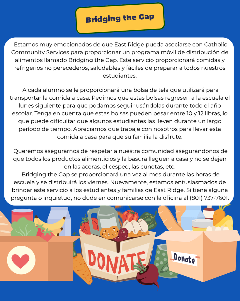 Bridging the Gap Info