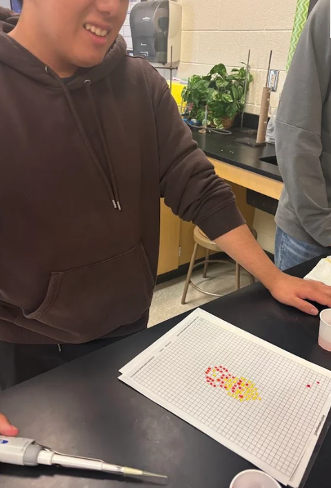 high school student working in lab