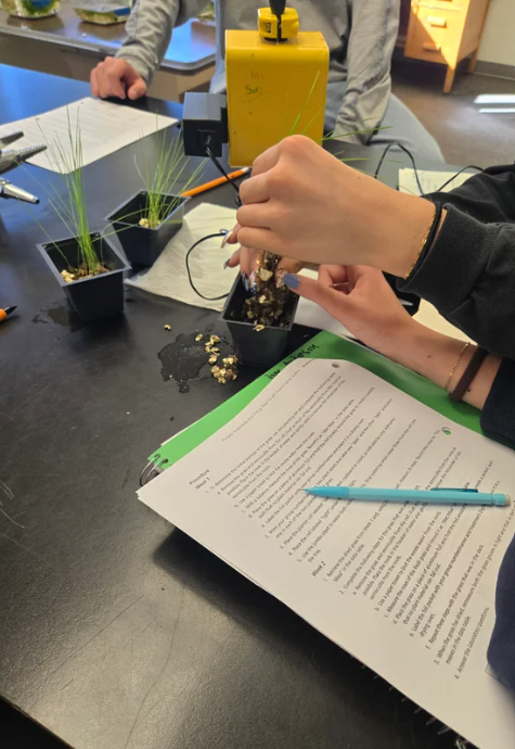 science experiment supplies