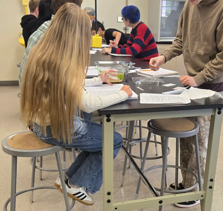 students working at lab tables
