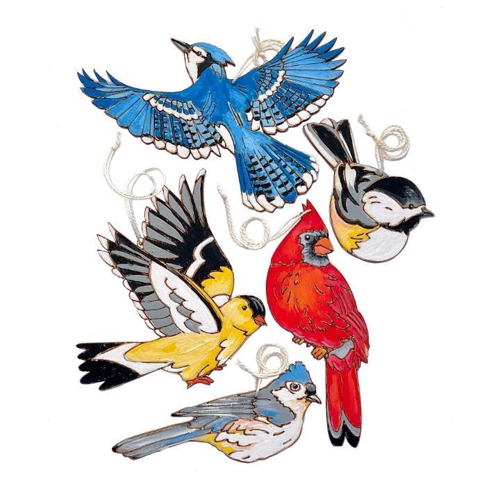 Idea: Backyard Birds 2