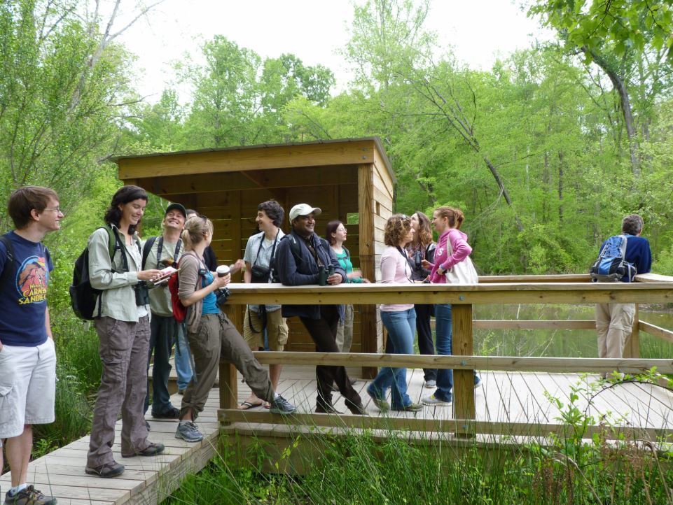 Idea: Backyard Birds 1