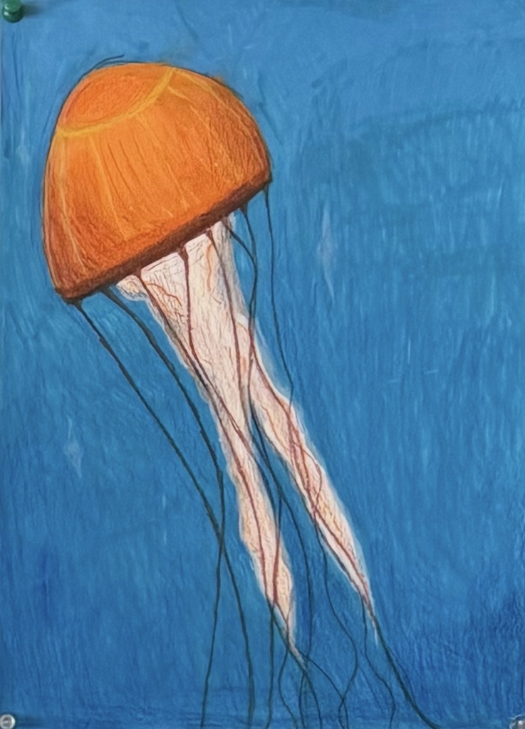 Artist of the Week 3.25.26