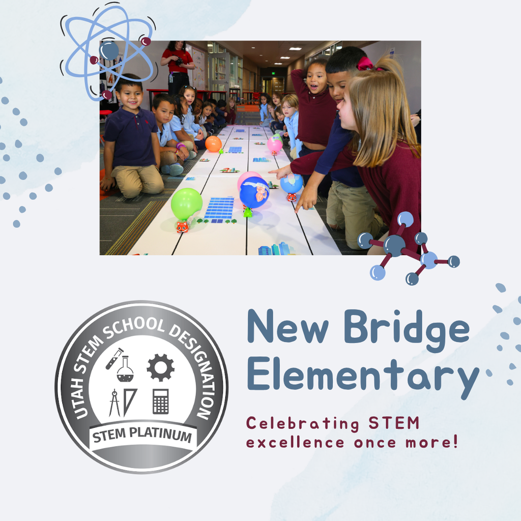 New Bridge Platinum Stem Celebration