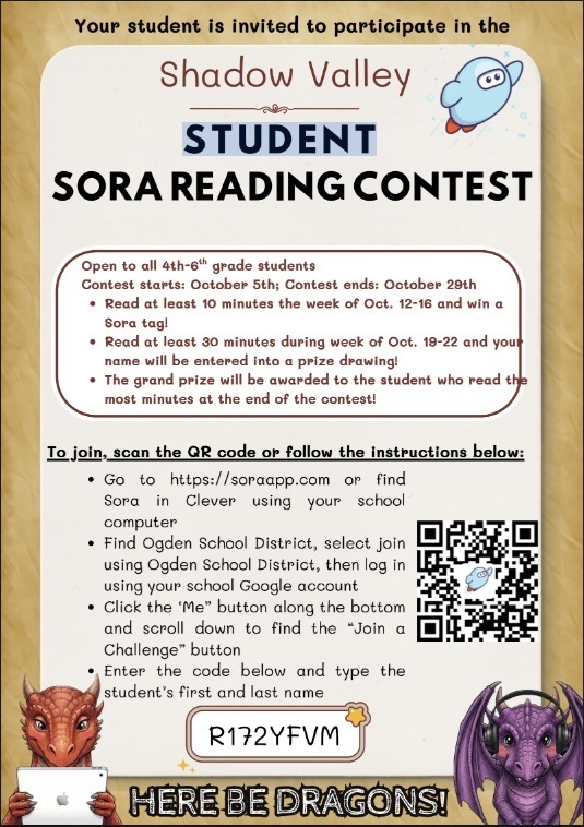 Sora Contest