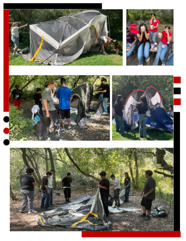 Bears News, September - page 5