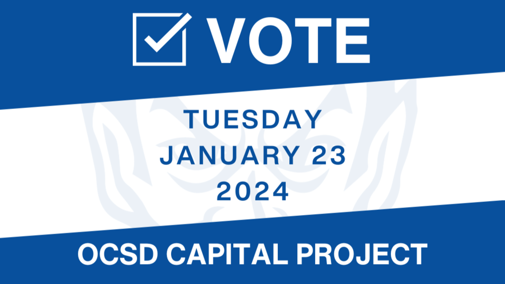 Vote Graphic 